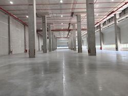 Pioneer Road (D22), Warehouse #573660941